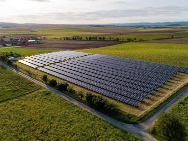 Black solar panels on a grass field