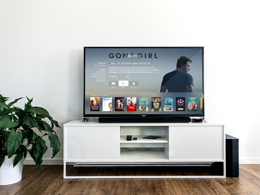 Flat-screen television