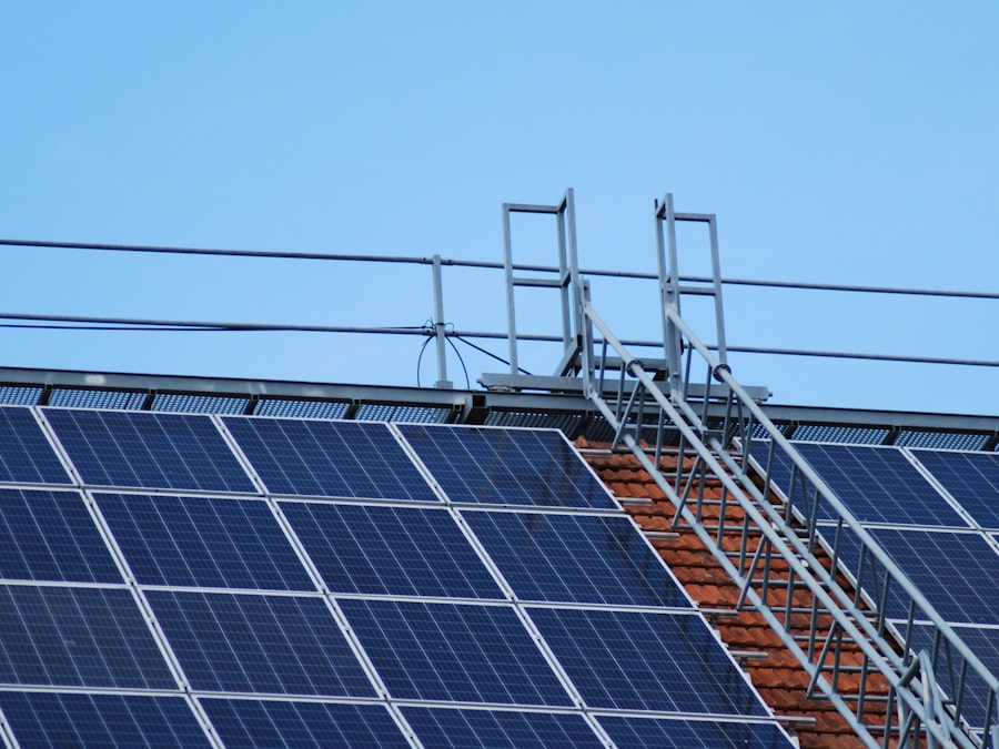 Solar panels mounted on metal frame structure